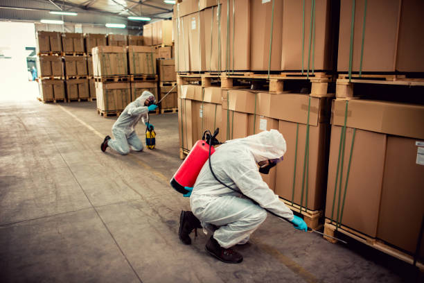 Best Bed Bug Extermination  in Marfa, TX