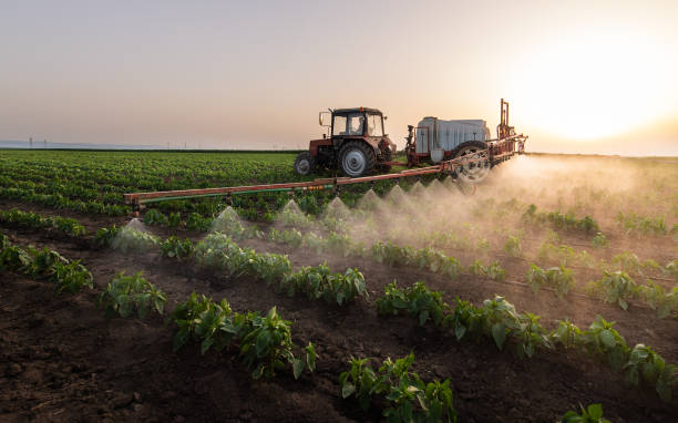 Best Affordable Exterminators  in Marfa, TX