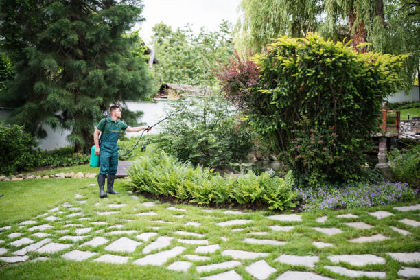 Wasp Removal Services in Marfa, TX