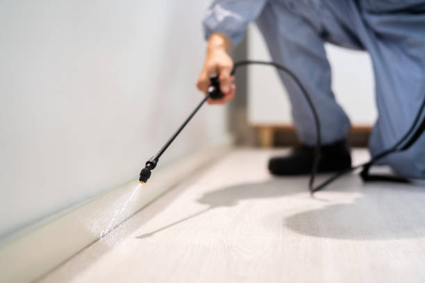 Best Commercial Pest Control Services  in Marfa, TX