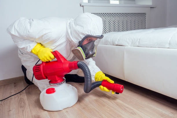 Best Ant Control Services  in Marfa, TX
