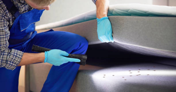 Best Ant Control Services  in Marfa, TX