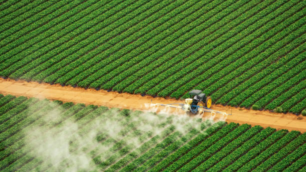 Best Mosquito Control Services  in Marfa, TX
