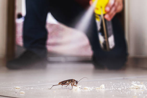 Trusted Marfa, TX Pest Control Experts